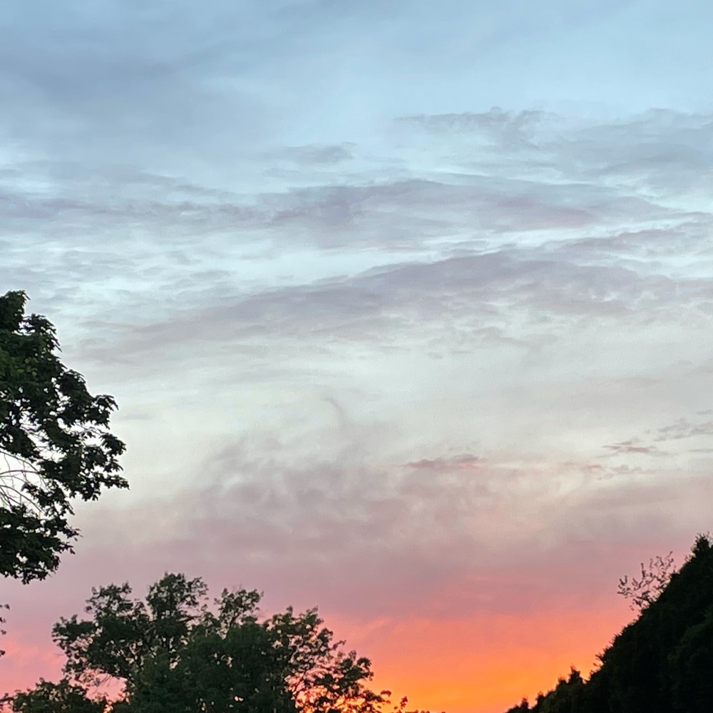 Meet your Posher, Riya